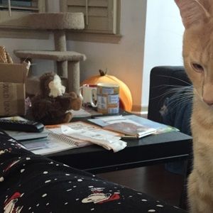 Meet your Posher, Mary